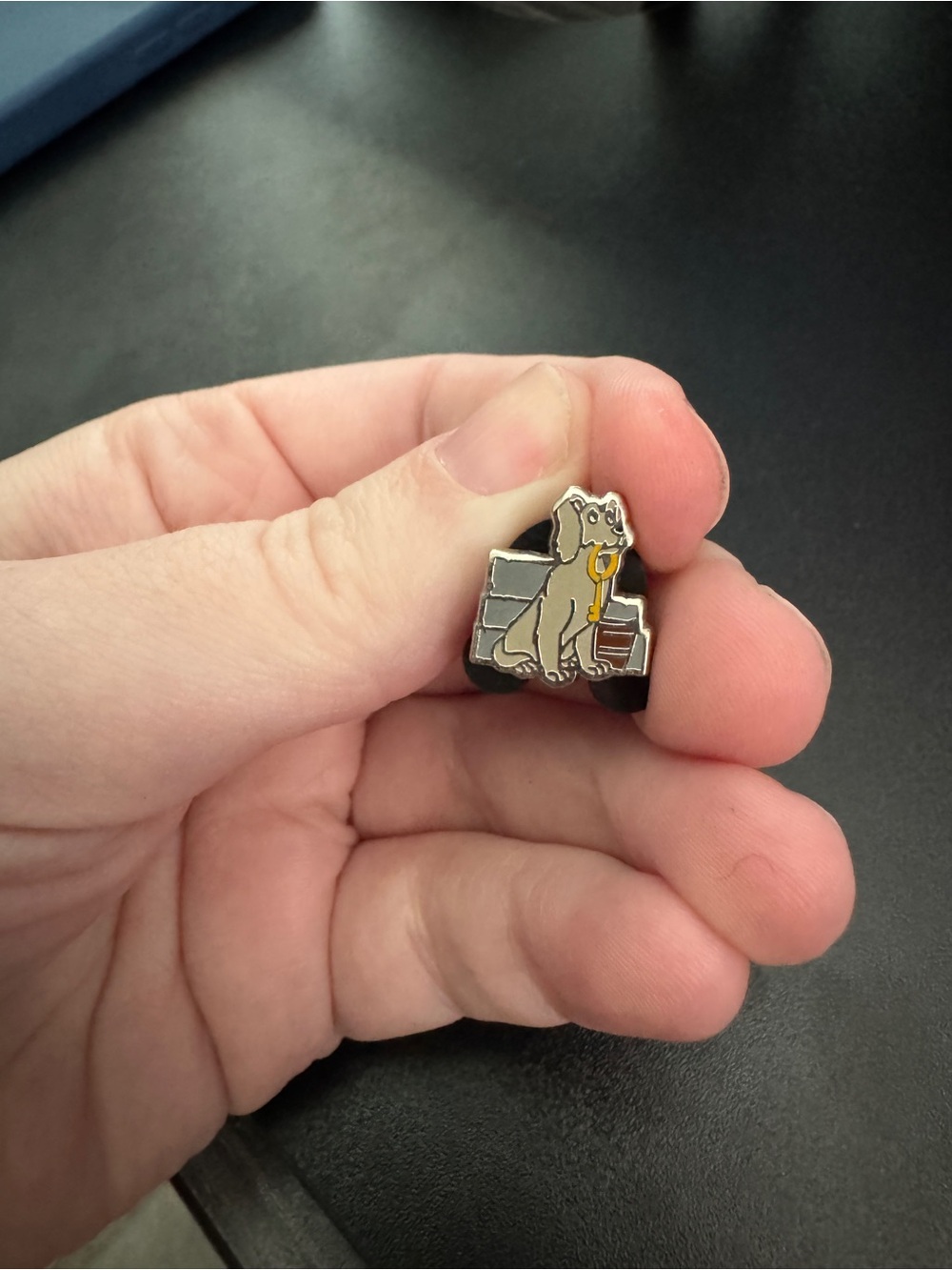 wdw Tiny Kingdom Series 3 Mystery Pirates of the Caribbean Dog Disney Pin key